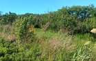 Teren de vanzare Valea Lunga - Holboca - 1