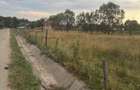 Teren 14.000 mp | 51 m deschidere la asfalt | Lupesti - Bumbesti-Pitic | Novaci | Gorj - 4