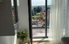 Apartament vanzare Domenii - 5