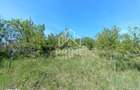 Teren 2160 mp | Panorama | Zona linistita Paclisa - 3
