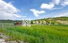 Teren extravilan I 736 mp I Zona Cabane- Cristian - 1