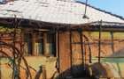vand casa la tara cu anexe si pamant in spatele casei - 2