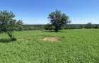 Proprietar, Vand teren intravilan 16600 mp, parcelabil, Comuna Cocu, Arges - 7