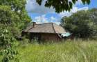 Casa de vanzare l Dangau Mare l 3135 MP Teren