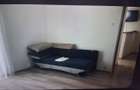 apartament 2 camere teiul doamnei - 9