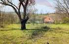Teren 1,500mp Milesti / Aleea Aleea Preot Ion Vitan - 1