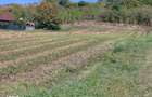 Teren de vanzare Popesti Vale, 3600 mp