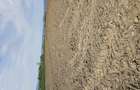Vanzare teren agricol - 2