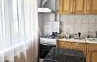 Apartament cu 2 camere de vanzare Intre Lacuri cu priveliste spre lac - 7