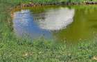 Teren amenajat cu casa de vacanta, lac, foi?oare si pontoane la baza padurii. - 1