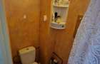 Apartament 3 camere Nicolina - 6