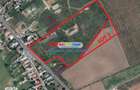 Vanzare teren 38.000 mp Tanganu Cernica ideal dezvoltare - 3
