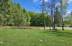 Teren intravilan intre paduri in Valeni-Dambovita - 7