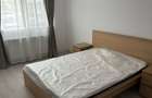 Apartament 2 camere de inchiriat Splaiul Unirii - cu gradina - 3