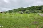 Teren intravilan de vanzare, 14,5 ari, zona Sud-Bistrita, Viisoara - 1
