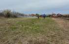 Vand teren intravilan 1300 mp ?ipari