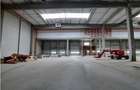Spatiu Industrial - 9050 mp - Logistica - Productie - Depozitare - Distributie - 1