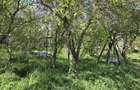 Teren agricol intravilan de 2050 mp, în Valea Măcrișului - 10