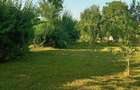 Casa batraneasca teren 700 mp - 4