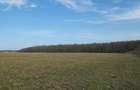 Ilfov Particular -Peninsula Ganeasa, 1075 mp. teren intravilan - 3