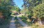 Teren intravilan 1900 mp, TAGA sat NASAL, pretabil constructie, zona verde - 4