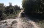 Teren intravilan de vanzare direct de la proprietar
