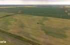 Teren investi?ional strategic 44.700 mp Arad Vest - 15