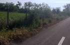 Teren de vanzare 1000m - 4