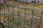 Vind teren intravilan pitesti - 3