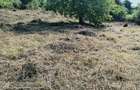 Teren de vanzare com. Aiton - 8