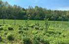Teren Intravilan 837 mp Stupini