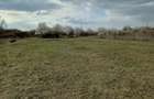 Proprietar, vand teren cur?i construc?ii, Mo?ni?a Noua, 1000 mp - 8