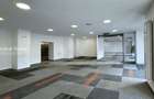 Spatiu Comercial | Central | Banu Manta | Nicolae Titulescu - 4
