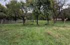 Teren 1.000 mp cu TOATE UTILITATILE - 2