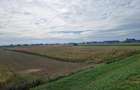 Vand teren intravilan agricol 80 ari