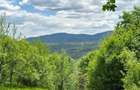 Vand teren la munte, Arges, Corbeni zona Cetatea Poenari Vlad Tepes, Baraj Vidraru - 1