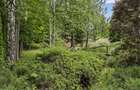 Direct Proprietar Terenuri Construibile Penteu Case De Vacanta de Vanzare Sinaia-Busteni 2200 mp Vedere Panoramica neperturbata - 3
