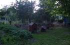 Vand Casa din caramida cu gradina loc de joaca pentru nepoti zona linistita - 2