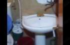 Apartament de vanzare etaj 1 cu trei camere Craiovi?a noua - 4