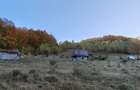 Teren de vanzare pe deal (Ideal Off-Grid, Remote, Retras) - 2