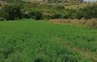 Vand teren intravilan zona de munte Chiojdu buzau - 5