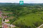 Proprietate de poveste pe Valea Muresului, Lupesti - 6