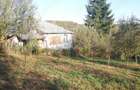 Case de vanzare +25.000mp-Calinesti Arge?,langa Pite?ti ?i Topoloveni - 5