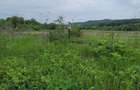 Teren agricol 3009mp FS=34.8m Titesti AG - 4