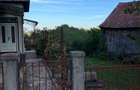 Casa cu gradina si pomi fructiferi - teren 2401 mp - loc. Moldovenesti - 4