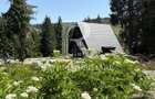Cabana A Frame | Vartop | Bihor - 1
