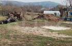 Teren intravilan 21/mp suprafata 3360 mp - 5
