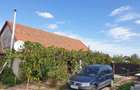 Proprietar vand casa in Herneacova - 10