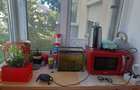 Vand apartament 2 camere Oradea 107900 euro - 6