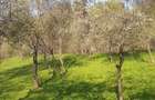 2 camere, 4000 mp,langa lacul Vidraru - 9
